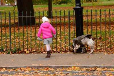 DSC_0698 (Large).JPG